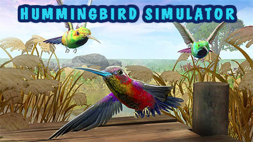 Descargar Hummingbird simulator 3D gratis para Android 4.2.