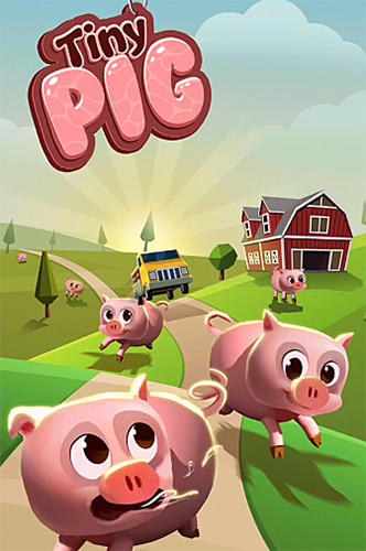 Descargar Tiny pig gratis para Android.