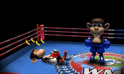 Monos boxeadores