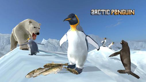 Pingüino del ártico 