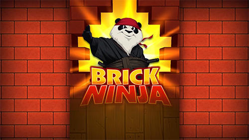 Ninja de bloques 
