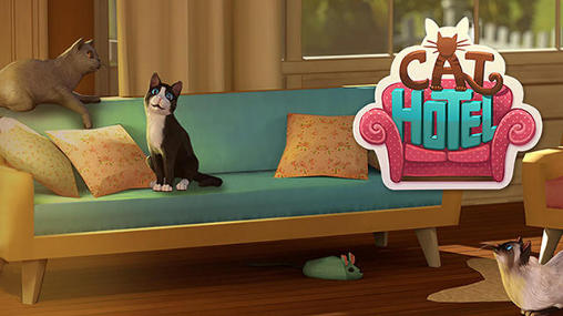 Hotel de gato: Mi hotel para gatos 