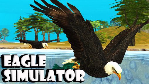  Simulador de águila