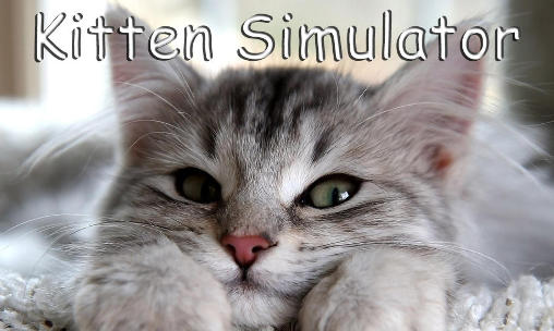 Simulador de gatito