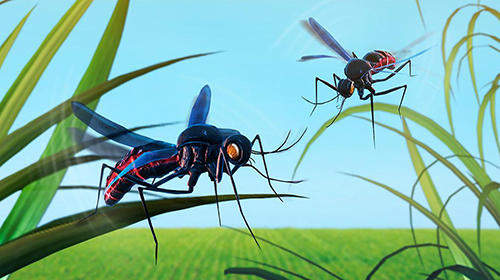 Mosquito insect simulator 3D