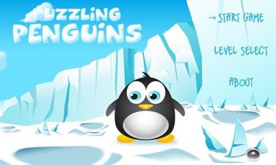 Pingüinos desconcertados 