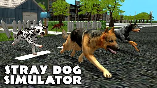 Simulador de perro callejero