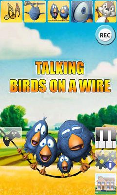 Pájaros habladores en un Cable