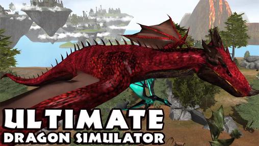 Simulador maravilloso de dragón