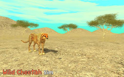 Simulador: Gepardo salvalje 3D 