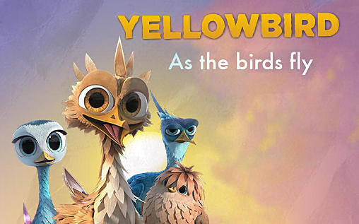 Pájaro Amarillo: A medida que las aves vuelan