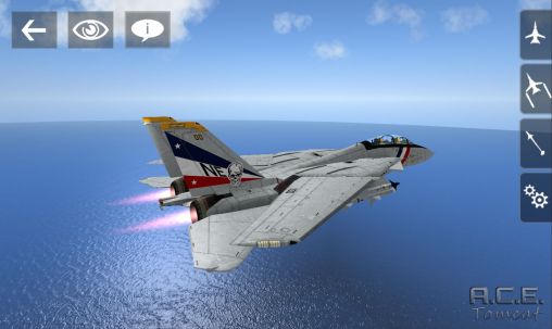 Tomcat F-14