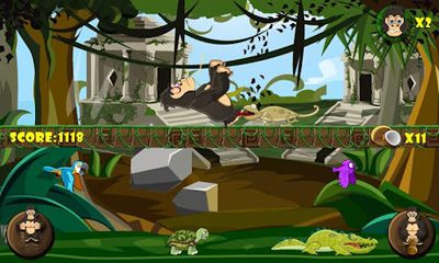 Gorila enfadado del Templo