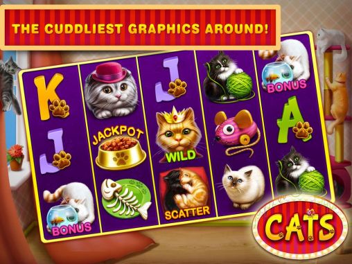 Casino en Las Vegas: Ranuras de gato