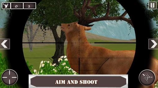 Caza de los ciervos: Competiciones 3D