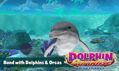 Paraíso de delfines: Amigos salvajes