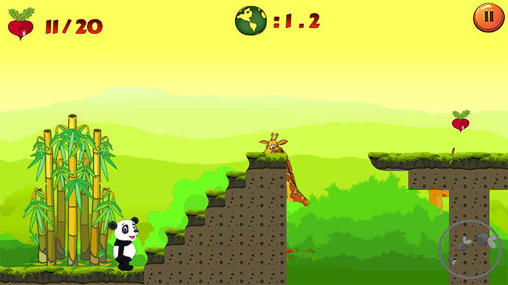 Carrera del panda a través de la selva