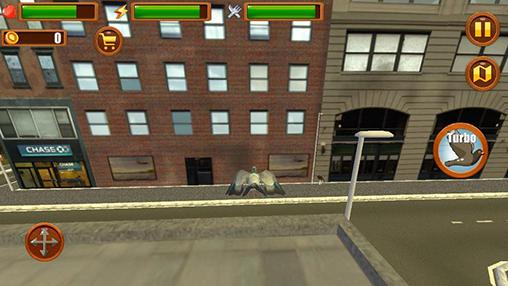 Ave de ciudad: Simulador de palomas 3D
