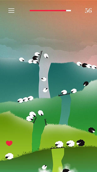 Prado loco: Ocurrió con las ovejas  