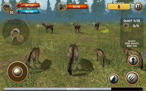 Simulador de lobo salvaje 3D