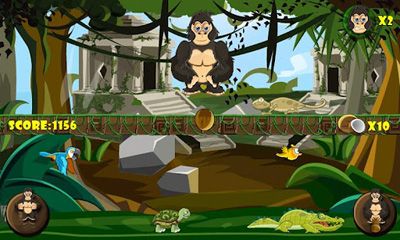 Gorila enfadado del Templo