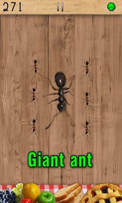 Aplastador de hormigas