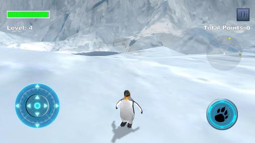 Pingüino del ártico 