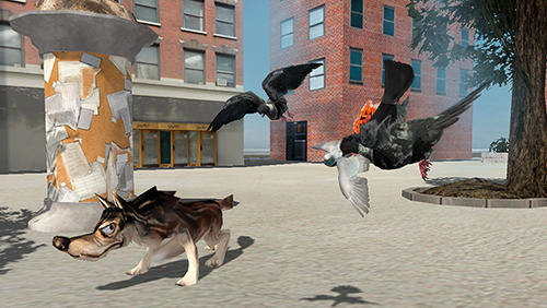 Pájaro volador: Simulador de paloma 2