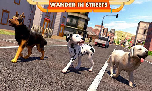 Simulador de perro callejero 3D