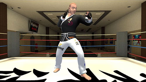 Lucha karate: Tigre 3D 2 