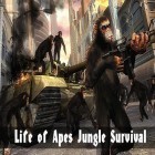 Con la juego Las guerras de la oficina para Android, descarga gratis Life of apes: Jungle survival  para celular o tableta.