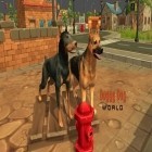Con la juego Froad para Android, descarga gratis Mundo de perro  para celular o tableta.