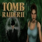 Con la juego Contenedor del puzzle del zombie para Android, descarga gratis Tomb raider 2  para celular o tableta.