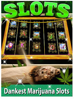 Descargar Kush Slots: Marijuana Casino, Lucky Weed Smokers gratis para Android 4.1.