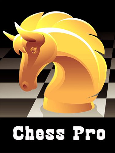Experto de ajedrez 