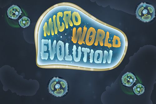 Evolución del micro mundo