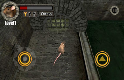 ¡Fuga de ratas! 3D Plus