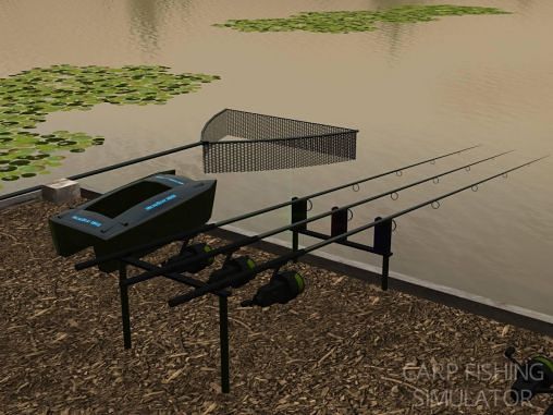 Simulador de pesca de la carpa