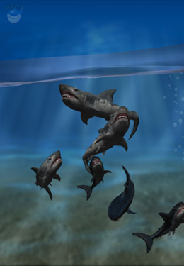 ¡La boca del tiburón!Un acuario 3D