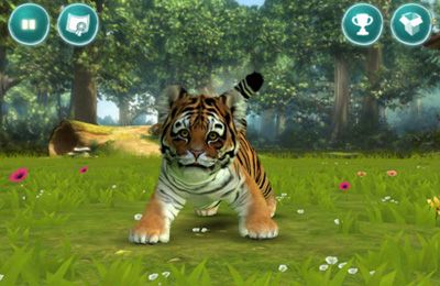 Tigre mascota 