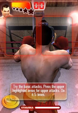 El puño de hierro Boxeo 