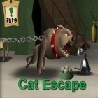 Con la juego Caza de patos-zombie  para iPod, descarga gratis La fuga del gato.