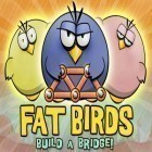Con la juego Manía de dibujar  para iPod, descarga gratis ¡Pájaros gordos!.