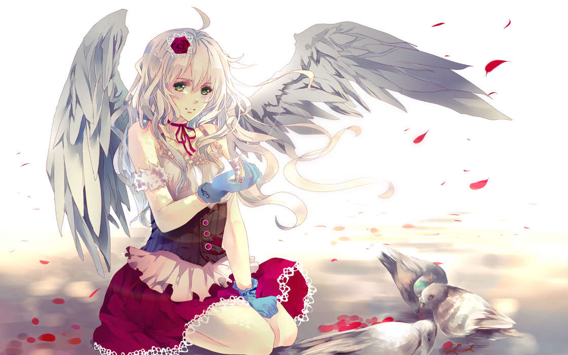 Anime,Chicas,Angels