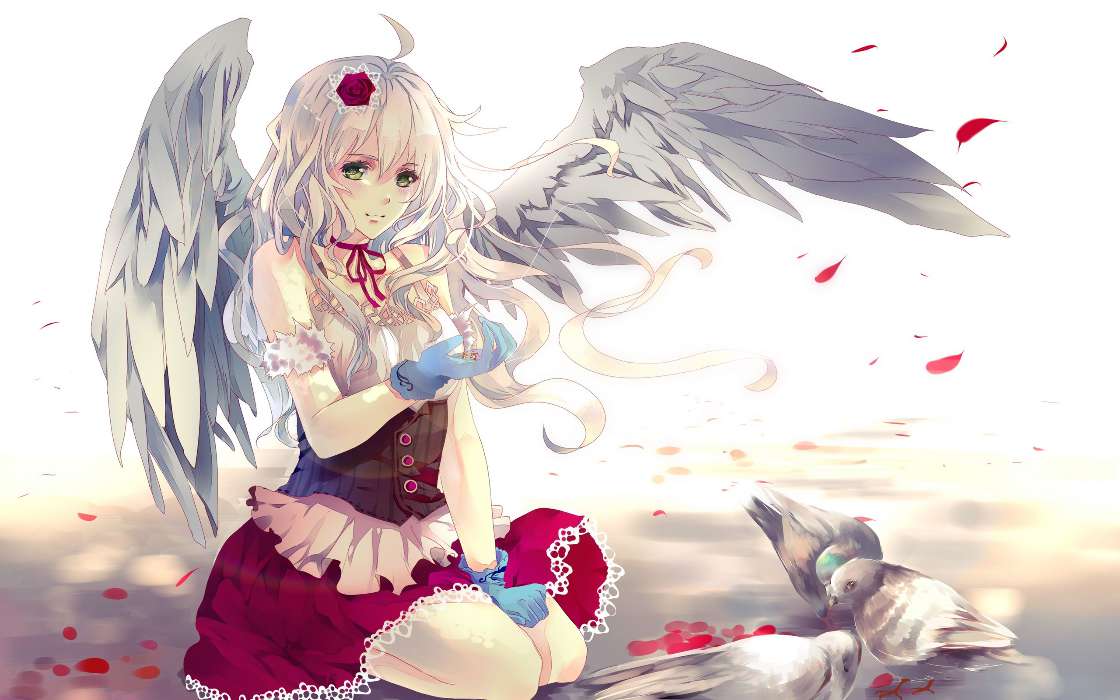 Angels,Anime,Chicas