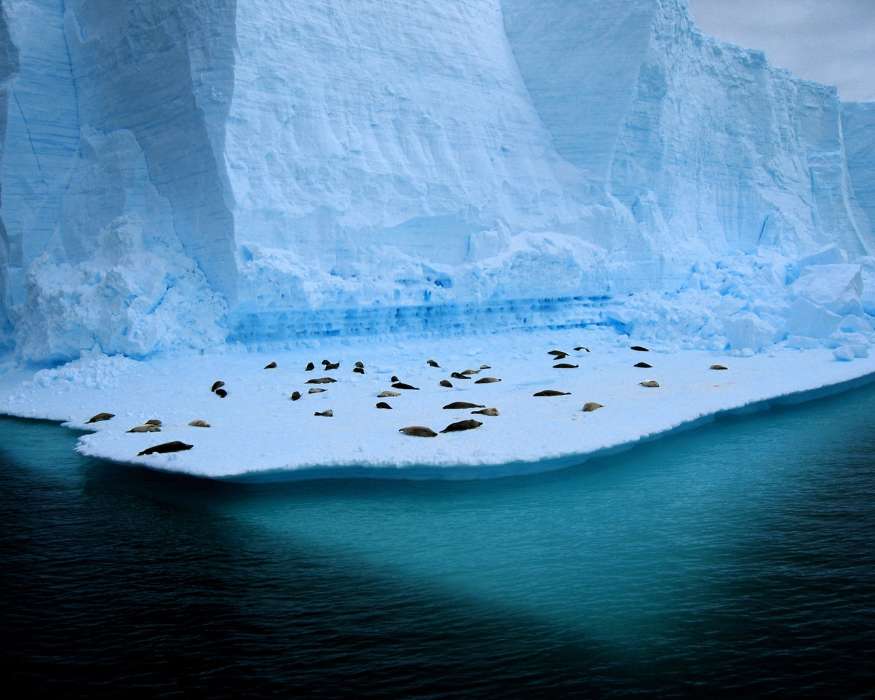 Paisaje,Invierno,Antártida, el Ártico