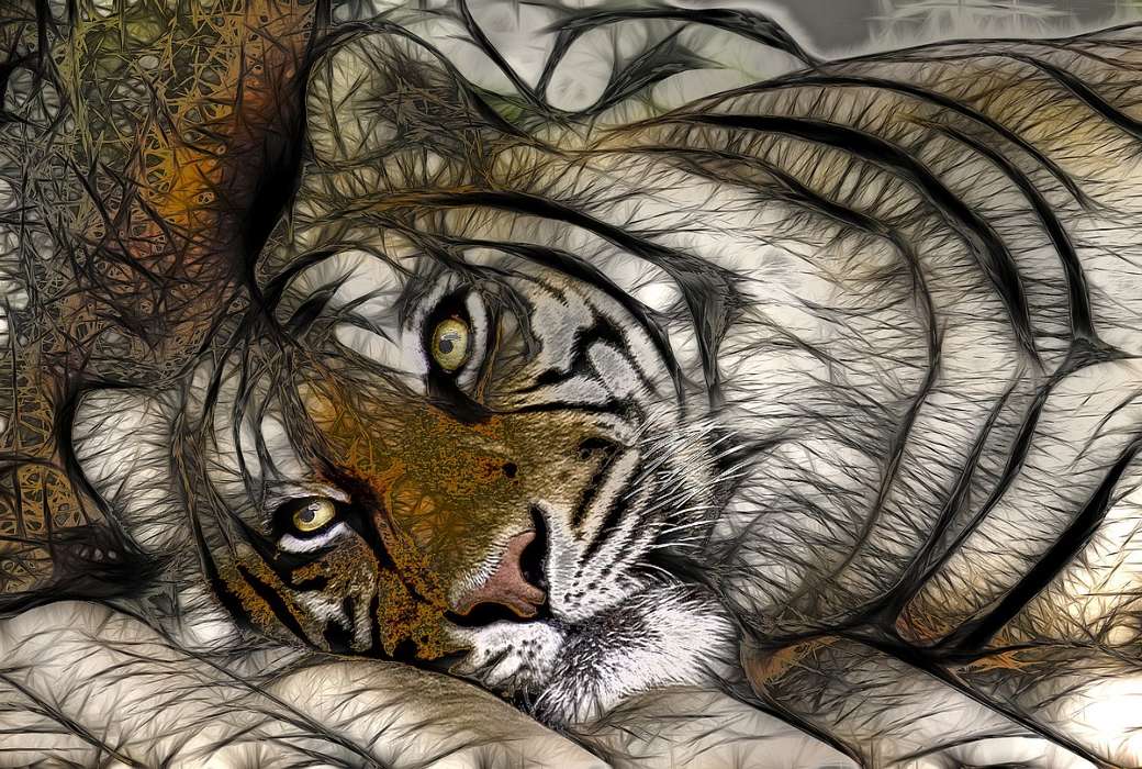 Animales,Arte,Tigres,Imágenes