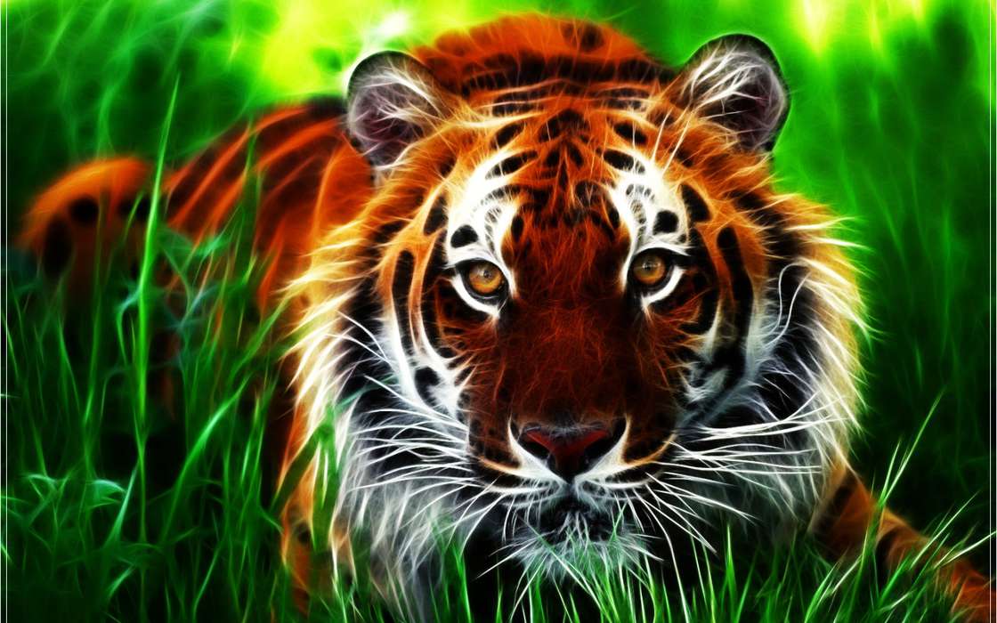 Fotografía artística,Tigres,Animales