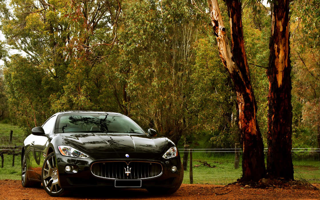 Transporte,Automóvil,Maserati