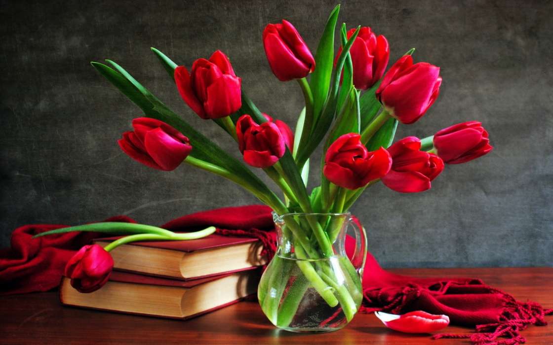Tulipanes,Bouquets,Libros,Naturaleza muerta,Plantas,Flores